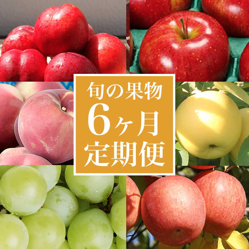 ［年6回定期便］ 小布施町の人気フルーツ定期便6カ月コース ［小布施屋］ フルーツ 果物 ネクタリン もも 白桃 シャインマスカット 林檎 りんご リンゴ 秋映 シナノスイート シナノゴールド サンふじ お楽しみ 長野県産 令和7年産 【2025年7月～12月発送】