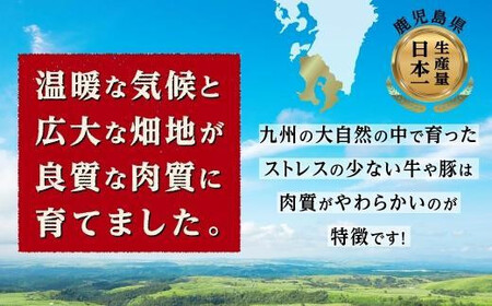 【定期便】豚肉4種 贅沢セット 2.25kg 全3回定期便