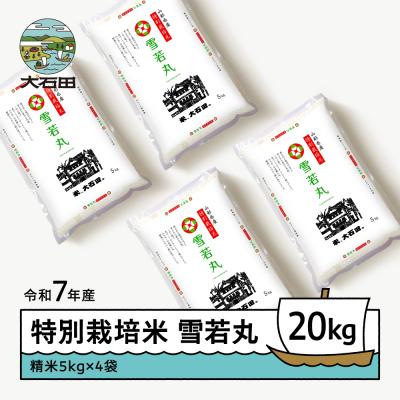 ふるさと納税 大石田町 【6月上旬発送】新米 米 令和7年産 雪若丸 20kg 山形県大石田町産 特別栽培米 精米