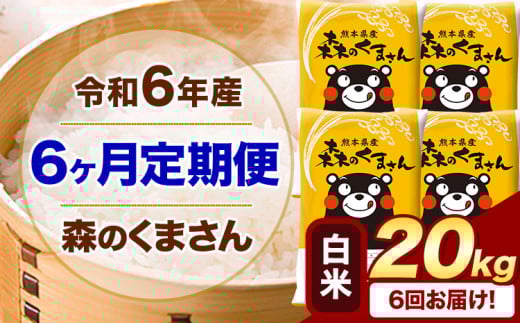 【6ヶ月定期便】令和6年産 白米  森のくまさん 20kg 5kg×4袋  《お申込み月の翌月から出荷開始》 熊本県産 白米 精米 米 こめ コメ お米 kome