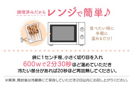 肉 バーベキュー セット「焼き鳥 豚シロ 串焼き バラエティパック 計40本 ＆ 若どり もも照り焼き 3枚」【小分け 冷凍】 [e03-b001]