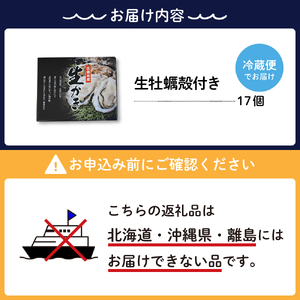 【2025年3月中旬発送】ナバラ水産 生牡蠣 殻付き 17個