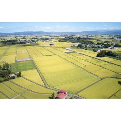 ふるさと納税 川西町 【先行予約】令和8年産　山形県産　はえぬき　無洗米10kg(5kg×2) |  | 01