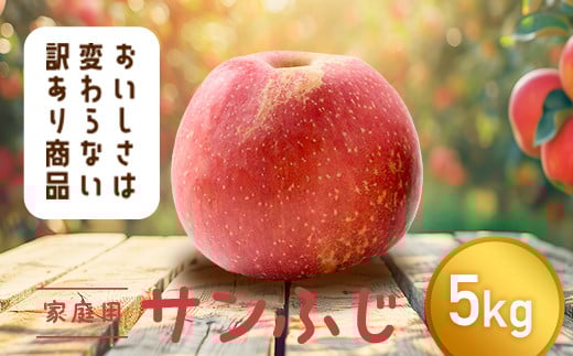 【令和7年産先行予約】 〈訳あり品 家庭用〉 りんご 「サンふじ」 約5kg バラ詰め 《令和7年12月上旬～令和8年2月下旬発送》 『カネタ髙橋青果』 リンゴ 山形県 南陽市 [1958]