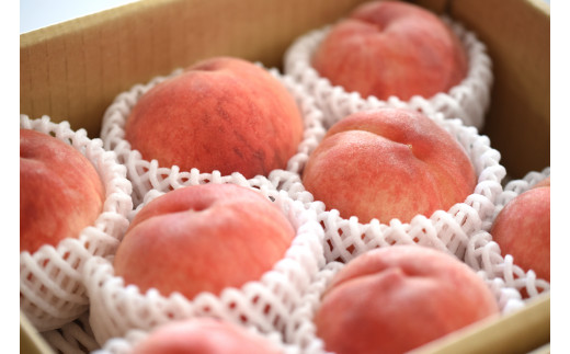 08-10-005　もも(川中島白桃)2kg