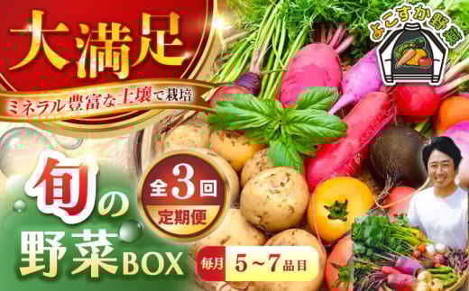 【全3回定期便】すずなり採れたて野菜BOX　(5～7品）【鈴也ファーム】 [AKCE011]