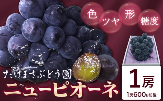 【2026年先行予約】ぶどう ニューピオーネ 1房(約600g前後) たけまさぶどう園 《2026年7月中旬-10月上旬頃出荷》岡山県 浅口市 送料無料 フルーツ 果物 岡山県産 青果物 お取り寄せフルーツ【配送不可地域あり】(離島)