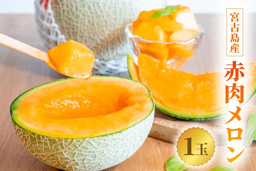 【2026年冬先行予約】宮古島産 赤肉メロン 1玉 【農家直送】 ＜とみお農園＞（TN01）