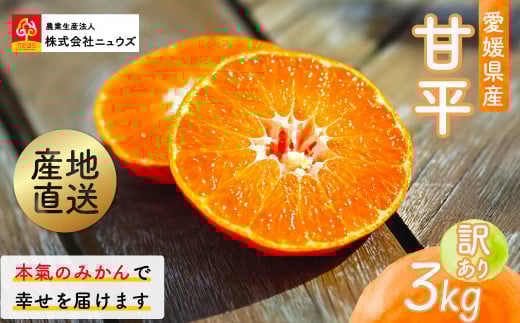 【先行予約】産地直送！愛媛県産甘平 3kg（訳あり）（2026年1月下旬より発送予定） 【 ふるさと納税 人気 おすすめ ランキング みかん ミカン 蜜柑 甘平 訳あり フルーツ 果物 産地直送 ニュウズ 愛媛県産 愛媛県 伊方町 送料無料 】 IKTF020 