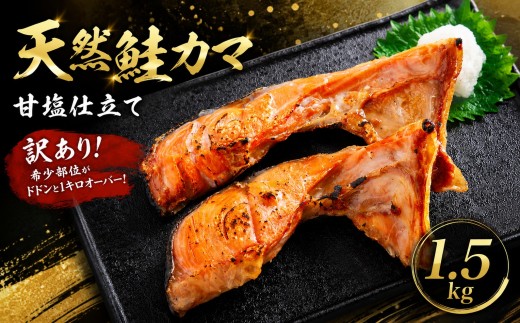 【訳あり】天然鮭カマ甘塩仕立て 1.5kg 鮭 さけ サケ 鮭カマ 訳あり 不揃い 大容量 メガ盛り お得 焼き魚 お弁当 おかず 海鮮 魚介 産地直送 冷凍 真空パック 人気 おすすめ ランキング ふるさと納税 北海道 美幌町