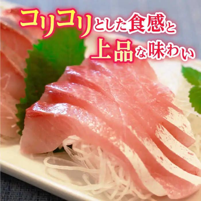 新上五島町産養殖ヒラマサ（ヒラス）片身フィーレ[RBP007] ヒラマサ ヒラス ヒラマサ ヒラス ヒラマサ ヒラス ヒラマサ ヒラス ヒラマサ ヒラス ヒラマサ ヒラス九州 長崎