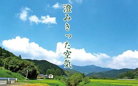 【定期便12回】三瀬村産「コシヒカリ」5kg×2袋 お米 白米 精米 ：C389-004
