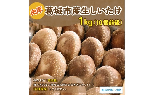 葛城市産生しいたけ（1kg） 椎茸 シイタケ 生 国産 セット 1kg 新鮮 菌床 スライス 奈良県 葛城市【kobo001】_イメージ4
