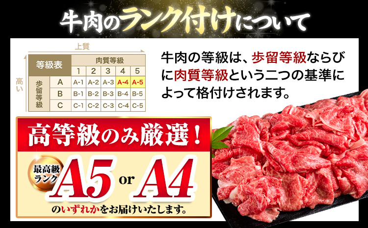 くまもと黒毛和牛 特上 スライス ウデ・モモ 500g 牛肉 冷凍 《30日以内に出荷予定(土日祝除く)》 くまもと黒毛和牛 黒毛和牛 冷凍庫 個別 取分け 小分け 個包装 モモ スライス 肉 お肉 
