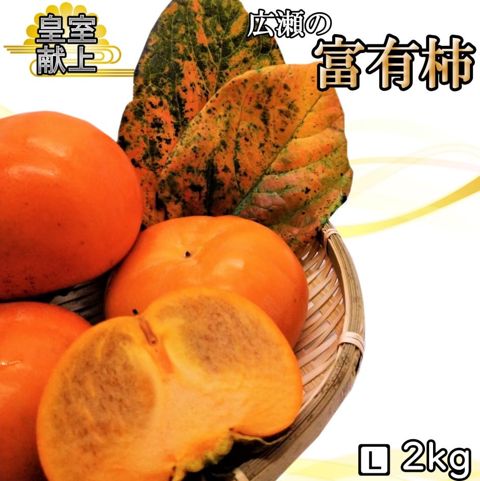 
            ＜2025年発送＞【2026年発送★先行予約】甘柿の王様　広瀬の富有柿 2kg Lサイズ 約7～9玉 179-012
          