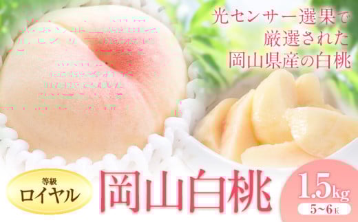桃 もも【2025年出荷先行予約】岡山の白桃 等級 ロイヤル 約1.5kg(5～6玉) 清水白桃 おかやま夢白桃 白鳳 白麗 なつおとめ 晴れの国 岡山農業協同組合 鴨方支店 《2025年7月上旬-8月下旬頃出荷》岡山県 浅口市 岡山県産 白桃 桃 もも 果物 フルーツ ギフト ご贈答 送料無料【配送不可地域あり】