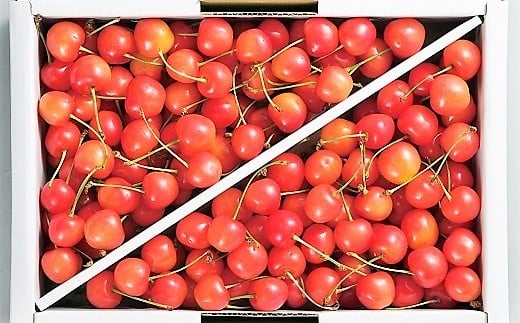 
            さくらんぼ（佐藤錦）１ｋｇ　ご家庭用　0060-2605
          