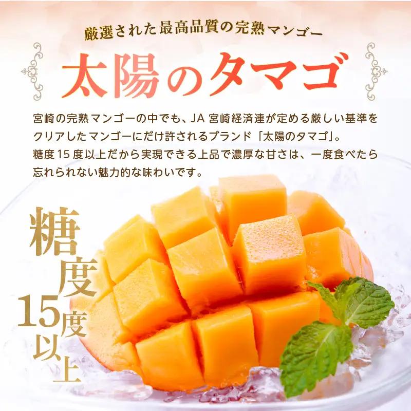 太陽のタマゴ マンゴー 太陽のタマゴ[宮崎 2玉 合計700g以上]