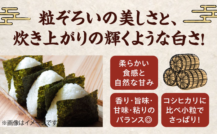 【先行予約】【令和7年産】【米食味鑑定士×お米ソムリエ×白米ソムリエ】知識・技術・愛情で育てた あきたこまち10kg（10kg×1袋）　愛媛県大洲市/稲工房案山子 [AGAV003]新米 お米 ご飯 