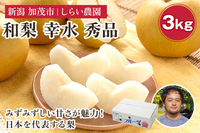 
                  【2026年先行予約】しらい農園の和梨 幸水 秀品3kg（5～9玉） 《8月下旬～順次発送》 果実 フルーツ 贈答 ギフト 甘くてジューシーな梨 なし こうすい 加茂市 しらい農園
                