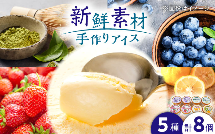 
            アイスセット 山都町産 ブルーベリー いちご ゆず お茶 バニラ 手作り 8個セット　【MILKY-WAY】 [YDT003]
          