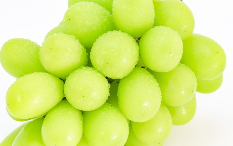 
                  かつらぎ町産　シャインマスカット 約3kg（4房）【2026年8月中旬～9月中旬ごろ順次発送】【AQ-ikd731】
                