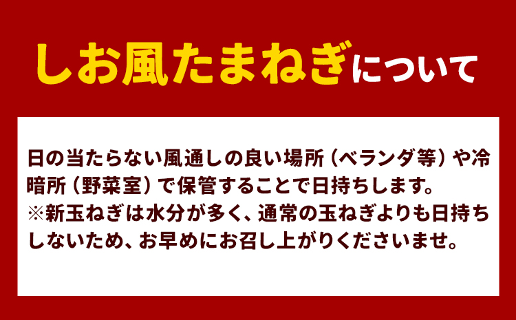 【2025年先行予約】 しお風新たまねぎ 約15kg 2025年発送 先行予約《5月下旬-6月上旬頃出荷》 玉ねぎ 新たまねぎ 玉葱 たまねぎ 新玉 野菜 青果物 岡山県 笠岡市---223_733_