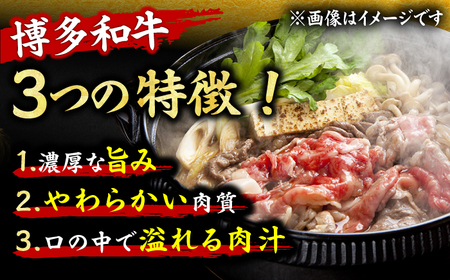 【12回定期便】 切り落とし 1000g（500g×2P）[AFBO080]