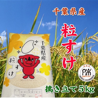 令和7年産千葉県産粒すけ精米5kg【1576623】