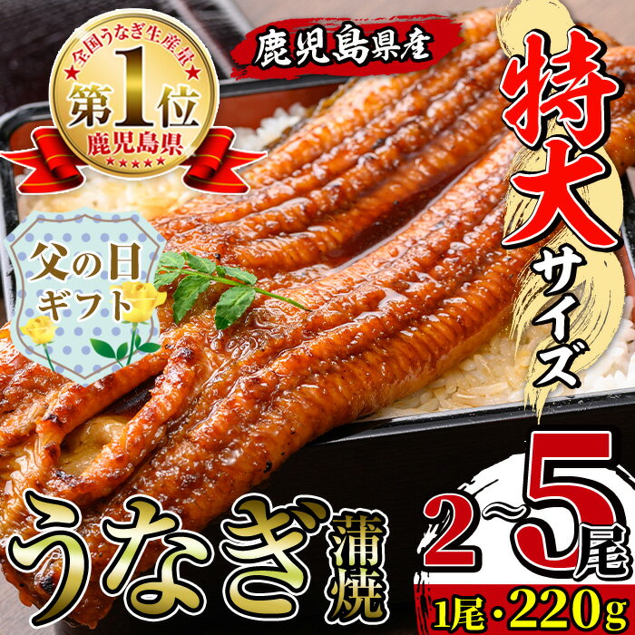 【ふるさと納税】【父の日ギフト】＼特大サイズ／ 尾数が選べる！ 鹿児島県産 うなぎ蒲焼 ( 2尾 / 3尾 / 5尾 ) 1尾 約220g たれ 山椒付きうなぎ 鰻 ウナギ 特大 特大サイズ 特大鰻 蒲焼き 国産 鹿児島県産 選べる 贈答 ギフト プレゼント 父の日 【薩摩川内鰻】