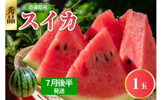 すいか 1玉 大玉 【2026年7月後半発送】 秀品 スイカ 西瓜 7月 8月 【先行受付】 青森県五所川原市