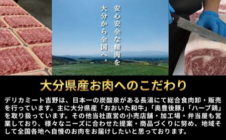 肉屋のまかない豊後牛レトルトカレー 230g×10袋 | 豊後高田市 レトルトカレー