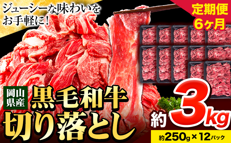 牛肉 肉 黒毛和牛 切り落とし 訳あり 大容量 小分け【定期便】 3kg 1パック 250g 6回 《お申込月の翌月より発送》岡山県産 岡山県 笠岡市 お肉 にく カレー 牛丼 切り落し 切落し 黒毛和牛 牛肉 黒毛和牛 牛肉 黒毛和牛 牛肉 黒毛和牛 牛肉 黒毛和牛 牛肉 黒毛和牛 牛肉 黒毛和牛 ---223_f746tei_23_180000_18kg---