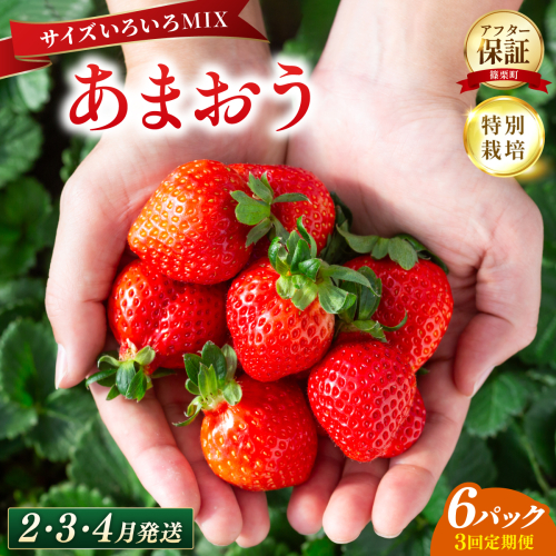 いちご 福岡県産 特別栽培 あまおう サイズいろいろMIX 約1710g（約285g×6パック）【3回定期便（2?4月発送）】