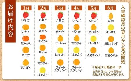旬のフルーツ詰合せ！丸亀讃果　計4回定期便 今が旬 の厳選果実