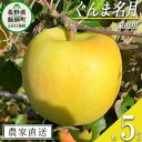 【ふるさと納税】 りんご ぐんま名月 家庭用 5kg ファームトヤ 沖縄県への配送不可 令和6年度収穫分 長野県 飯綱町 〔 信州 果物 フルーツ リンゴ 林檎 名月 長野 15000円 予約 農家直送 〕発送時期：2024年11月中旬～2024年12月下旬 {**}