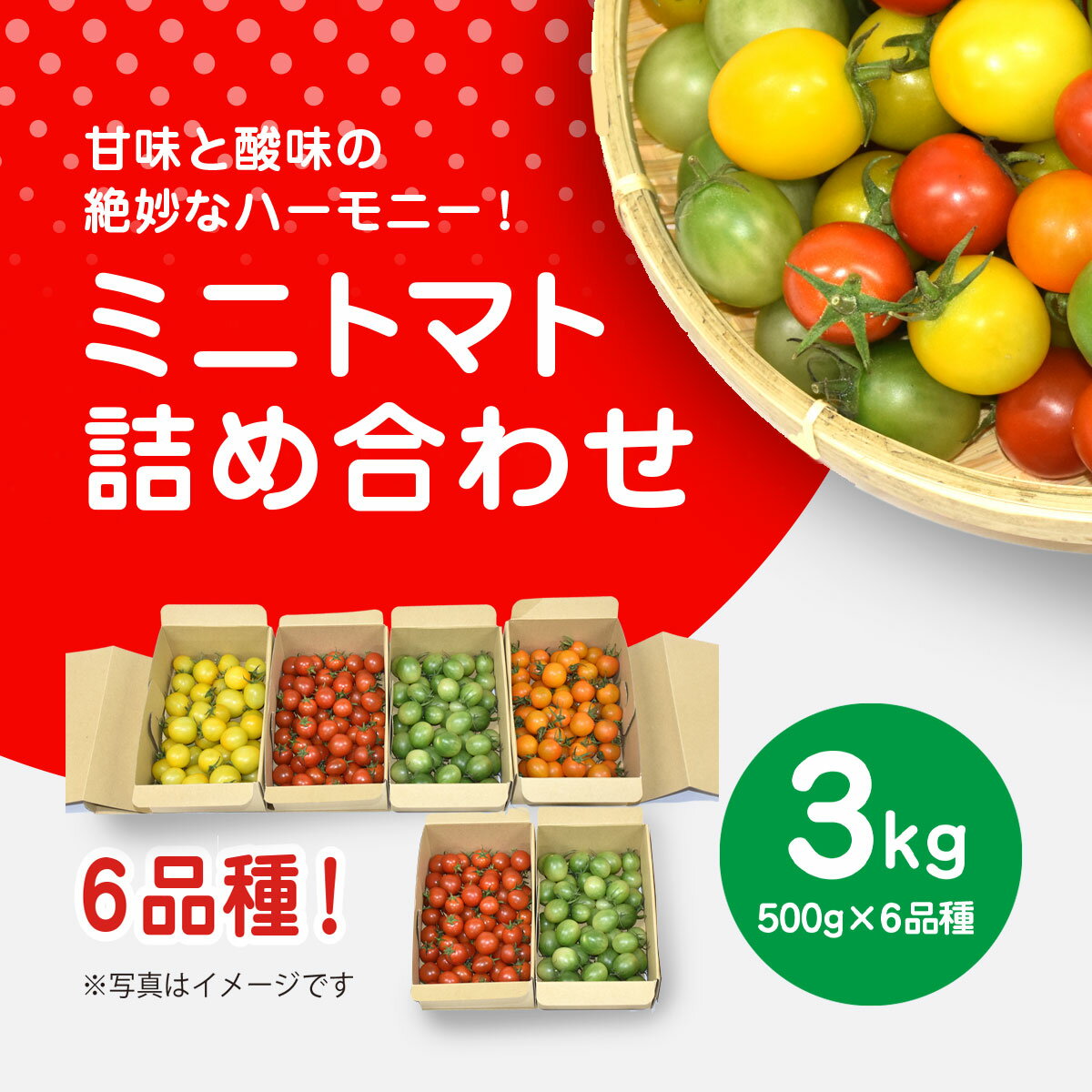 【ふるさと納税】【先行予約】【11月から発送】甘味と酸味の絶妙なハーモニー! ミニトマト 詰め合わせ 3kg（500g×6品種） SMCA001 ※離島（沖縄含む）への配送は不可