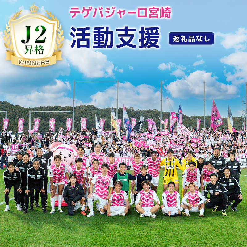 ＜テゲバジャーロ宮崎＞J2昇格 応援 活動支援 1口 5,000円～10,000,000円 サッカー Jリーグ J2 スポーツ 社会貢献 地域活動 応援寄附 サポーター 感謝状 返礼品なし【S28】