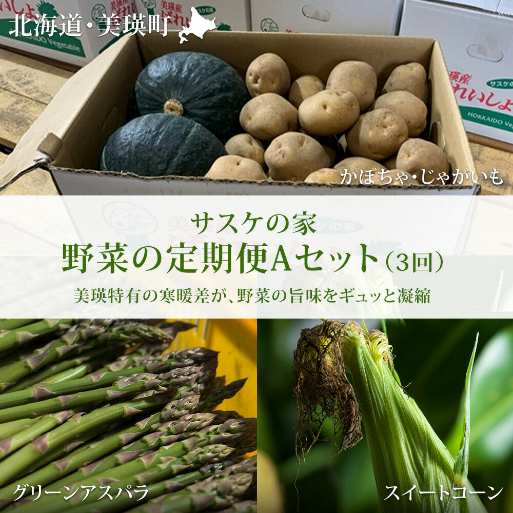 【ふるさと納税】 野菜 定期便 Aセット 3ヶ月 ≪令和8年産予約受付！≫ 送料無料 セット 詰め合わせ アスパラ アスパラガス とうもろこし とうきび スイートコーン 3回 秋野菜 北海道 北海道美瑛 美瑛町 美瑛産野菜 北海道産野菜 野菜の定期便 サスケの家[033-22]