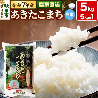 ふるさと納税 秋田市 米 あきたこまち 5kg 令和7年産 新米 白米 田口商店|15_tgs-010501