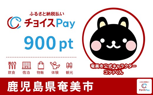 
            奄美市チョイスPay 900pt【会員限定のお礼の品】
          