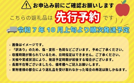 【先行予約】【訳あり】秋映（あきばえ）【約3ｋｇ(6?14玉)】 (7-A26-1)