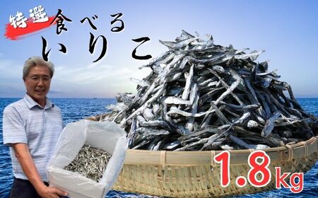 煮干し いりこ 1.8kg 煮干し