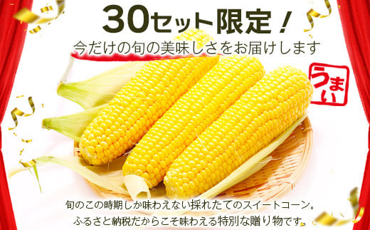 
                  予約受付【限定30セット】 スイートコーン （ゴールドラッシュ） 10～12本入 朝採れ とうもろこし トウモロコシ 野菜 糖度17~18℃以上 鹿島市産 佐賀県産 春 夏 旬【2026年6月上旬～順次発送】 B-319
                