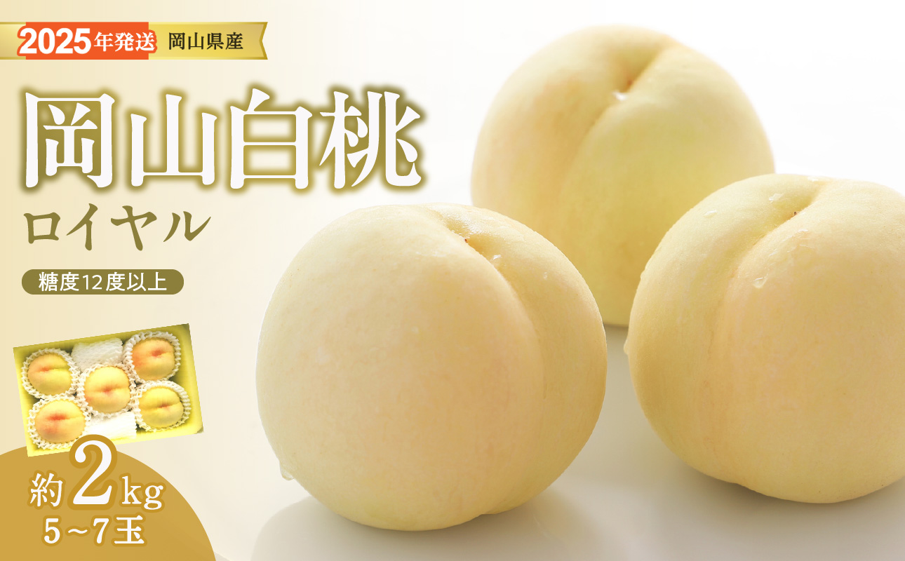 【2025年発送分 先行受付スタート】岡山県産 白桃 最高ランク！ロイヤル約2kg（令和７年7月以降発送）【 白桃ロイヤル フルーツ 果物 もも 桃 モモ 岡山県産 ロイヤル 】 