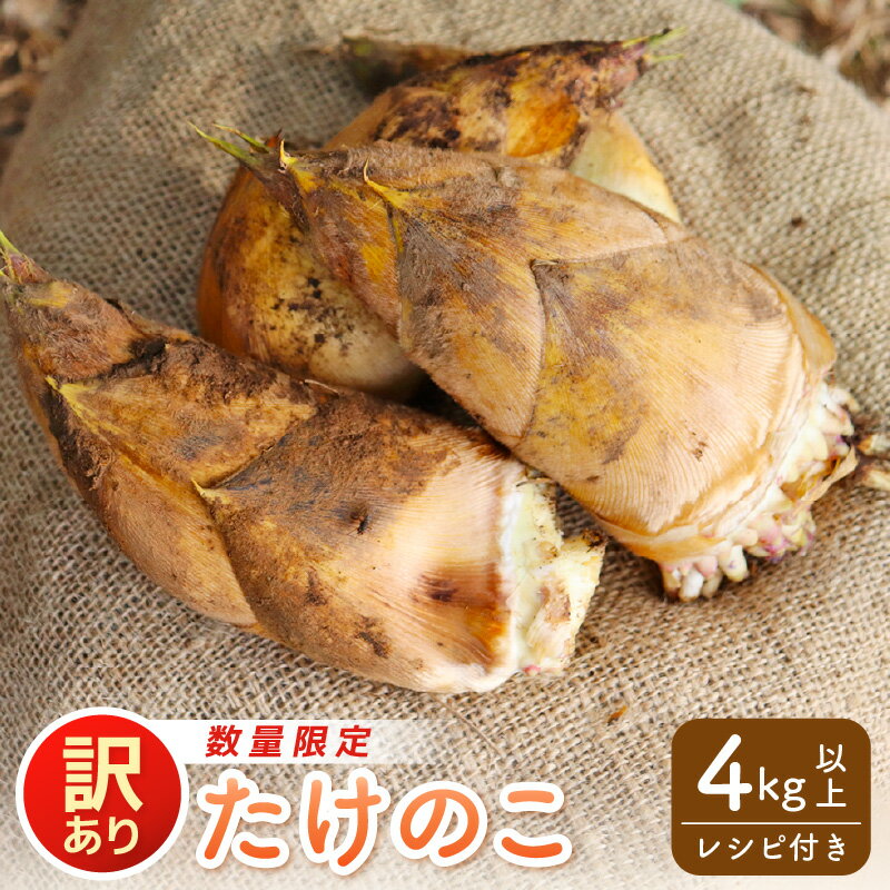 【ふるさと納税】 【令和8年産先行予約】訳あり 赤土 たけのこ 4kg以上 ※大きな筍をカット※ 越前町 宮崎地区産 採れたてを産地直送でお届け！【 筍 タケノコ 竹の子 生 】【先行予約・2026年4月下旬以降発送開始予定】 [e27-a037]