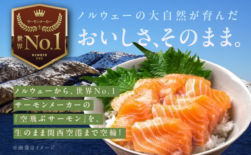 【7/19土用の丑の日】五郎藤 国産 関西風 地焼き有頭旨鰻 120g×2尾＆アトランティックサーモン 200g×2パック【食べ比べ】 020C405c