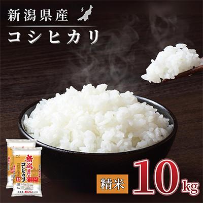 ふるさと納税 見附市 【毎月定期便】新潟県産 コシヒカリ(精米) 10kg(5kg×2袋)【計30kg】全3回