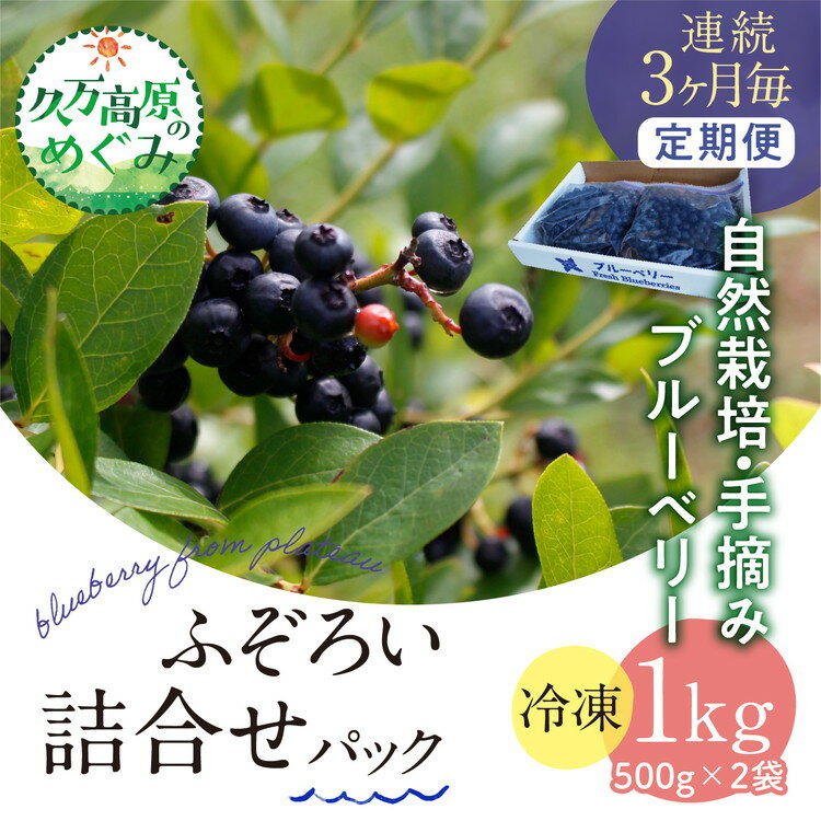 【ふるさと納税】【先行予約】【3ヶ月定期便】農園直送 不揃い手摘み 冷凍 ブルーベリー 500g×2袋 計1kg 使い方いろいろ ｜ 愛媛県 久万高原町 廣瀬農園 自然派 高原栽培 国産 フルーツ おやつ 製菓用 スムージー ※離島への配送不可 ※2026年7月中旬頃から順次発送予定