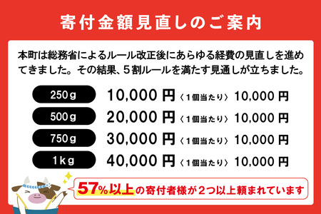 いくら！いくら！いくら！北海道産いくら醤油漬け 500g　（ いくら イクラ 鮭卵 醤油漬け 北海道 野付 別海町 人気 ふるさと納税 ）